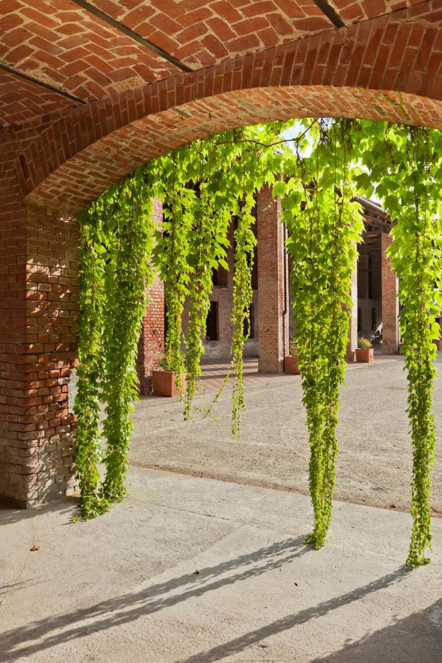 Marchesi Incisa Winery Lodge Rocchetta Tanaro Extérieur photo
